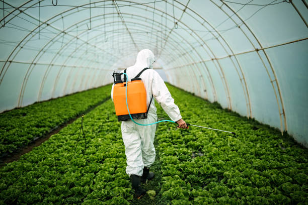 Best Best Pest Control Companies  in Buchanan, VA