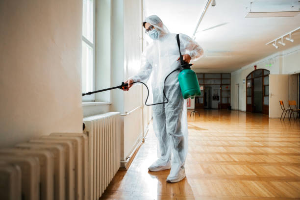Flea Control Services in Buchanan, VA