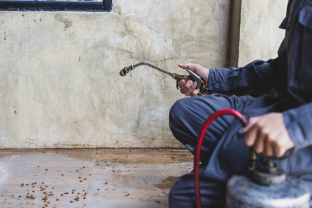 Best Exterminator Services  in Buchanan, VA